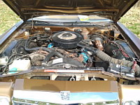 Chrysler Newport (de 1977)(Jarrie, 2019-03) (08)